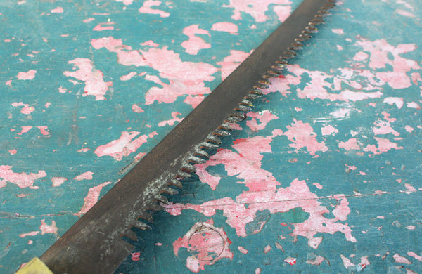 A Vintage Pruning Saw with Beach Wood Handel