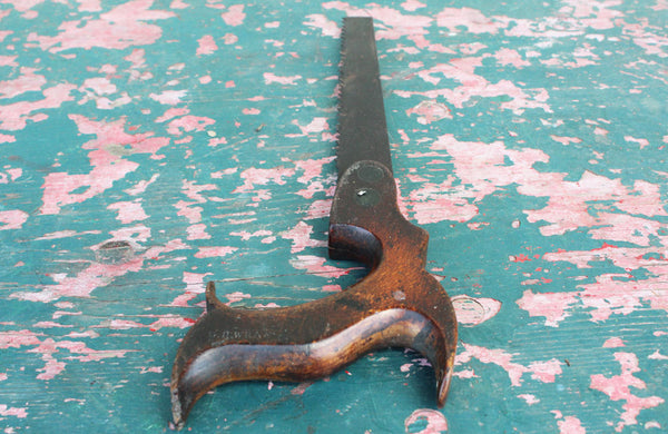 An Edwardian Pruning Saw