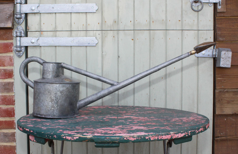Vintage Galvanised Haws no.2 Long Reach Watering Can with Brass Rose