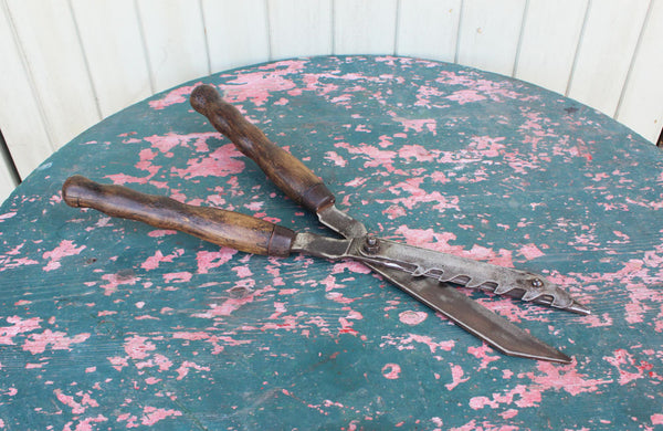 An Unusual Pair of Vintage Shears with Notched Blade