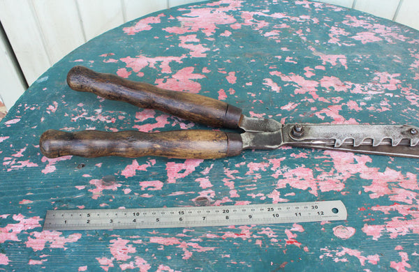 An Unusual Pair of Vintage Shears with Notched Blade