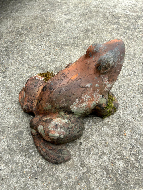 Terracotta Frog