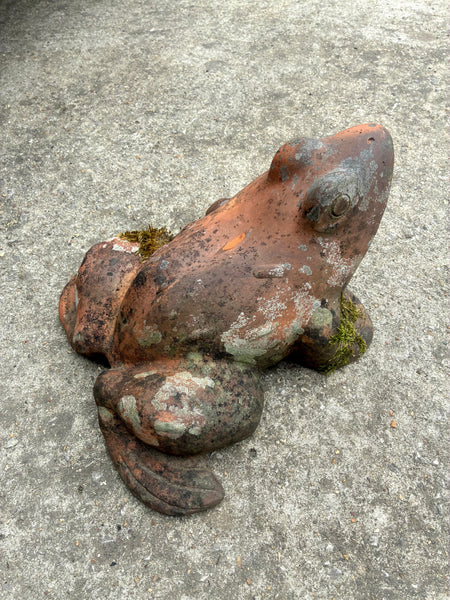 Terracota Frog