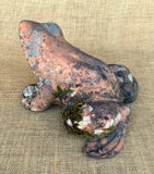 Terracota Frog