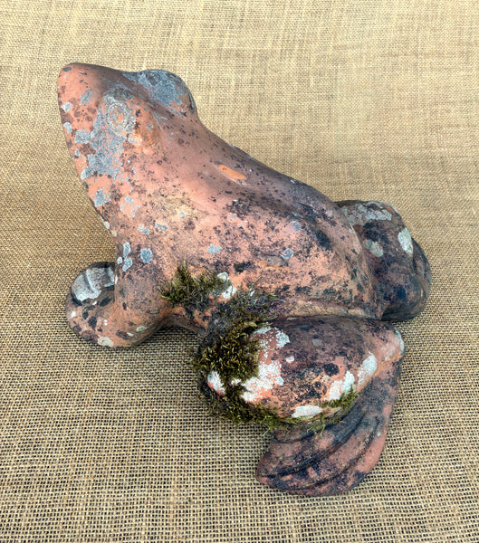 Terracota Frog