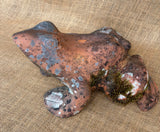Terracota Frog