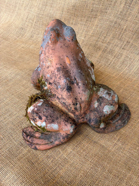 Terracota Frog
