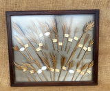 A Framed Collection of Grasses